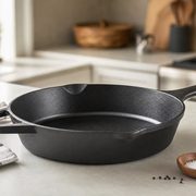 Lodge 10.25-Inch Cast Iron Skillet
