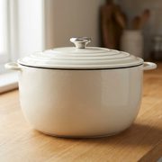 Lodge 6 Quart Enameled Cast Iron Dutch Oven